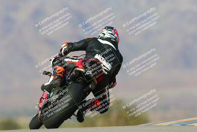 media/Jan-13-2024-SoCal Trackdays (Sat) [[9c032fe5aa]]/Turn 9 Backside (110pm)/